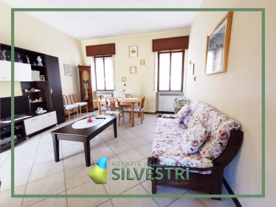 Immobiliare Silvestri, CAMERI: CASA DI CORTE